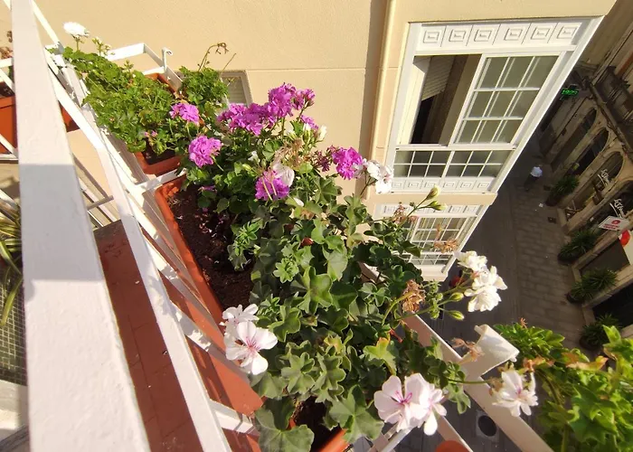 Gravina リベイラ